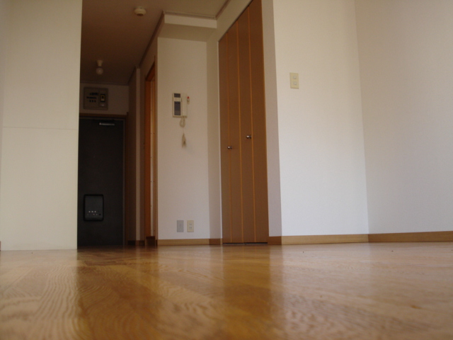 Other room space. There is a storage in the hallway.