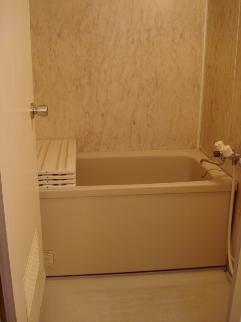 Bath. bathroom. Space to heal fatigue of the day.