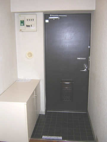 Entrance. Entrance space. With happy cupboard.