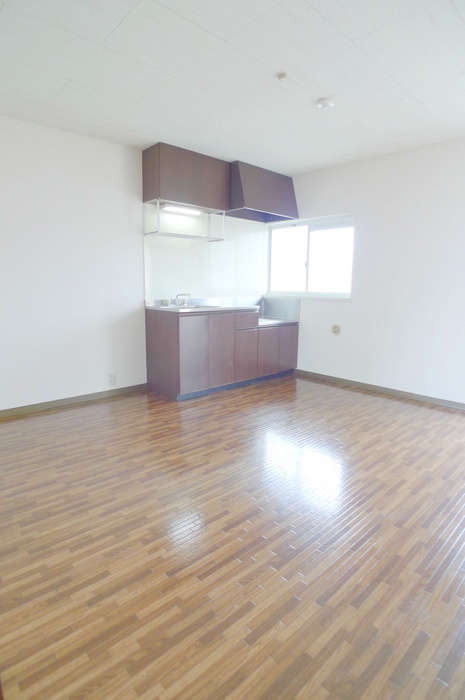 Kitchen. Spacious dining