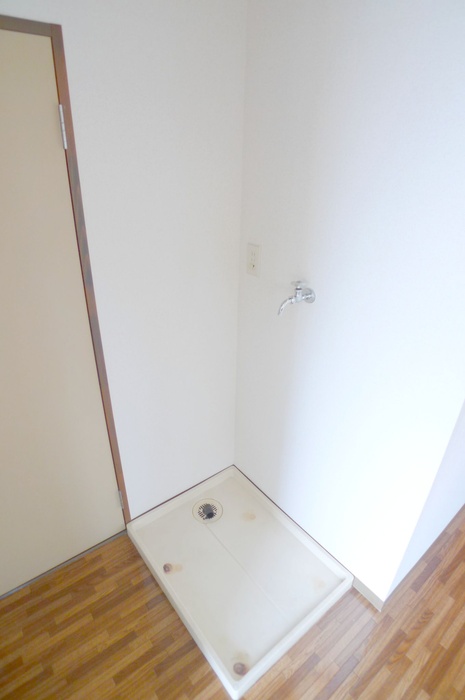 Washroom. Of course Laundry Area indoor