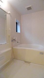 Bath. With add-fired function