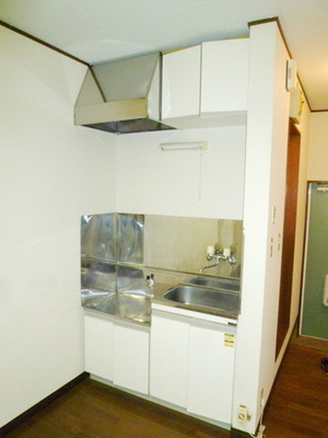 Kitchen. Gas stove installation type