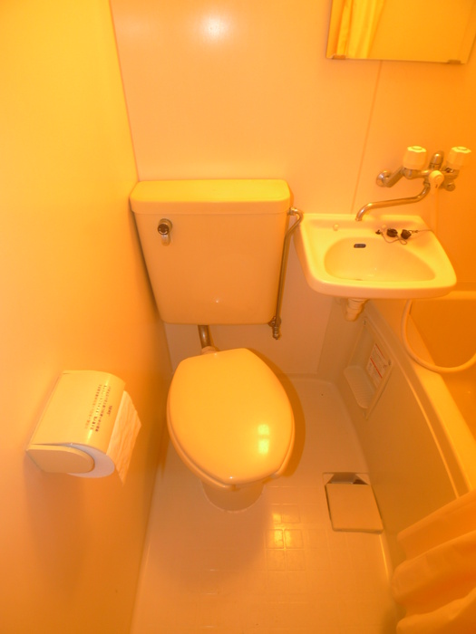 Toilet. Toilet