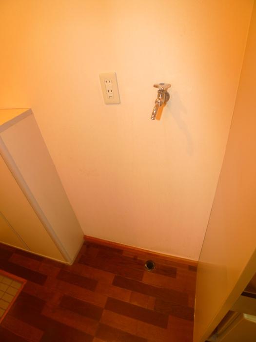 Other. Washing machine in the room