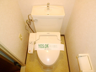 Toilet. Bathroom with a shower