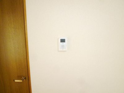 Security. TV monitor Hong