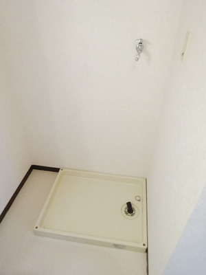 Other room space. Washing machine in the room
