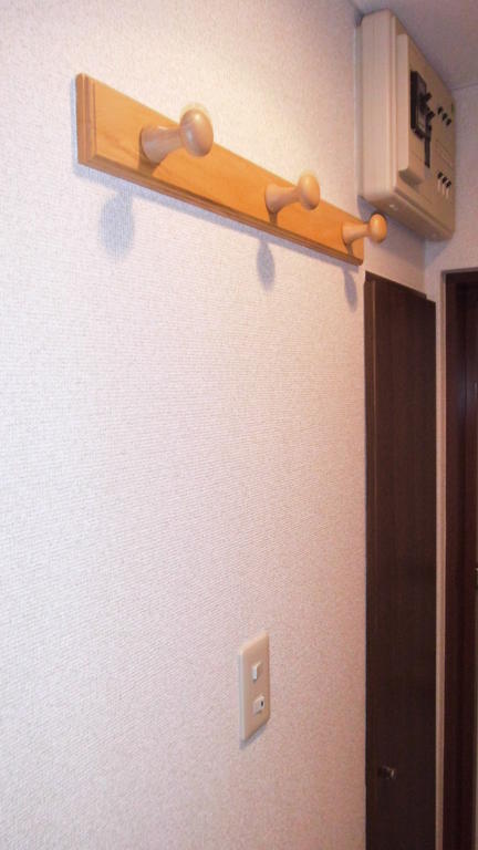 Entrance. Coat hook