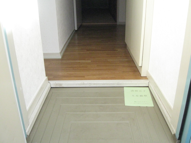 Entrance. There are entrance shoebox.