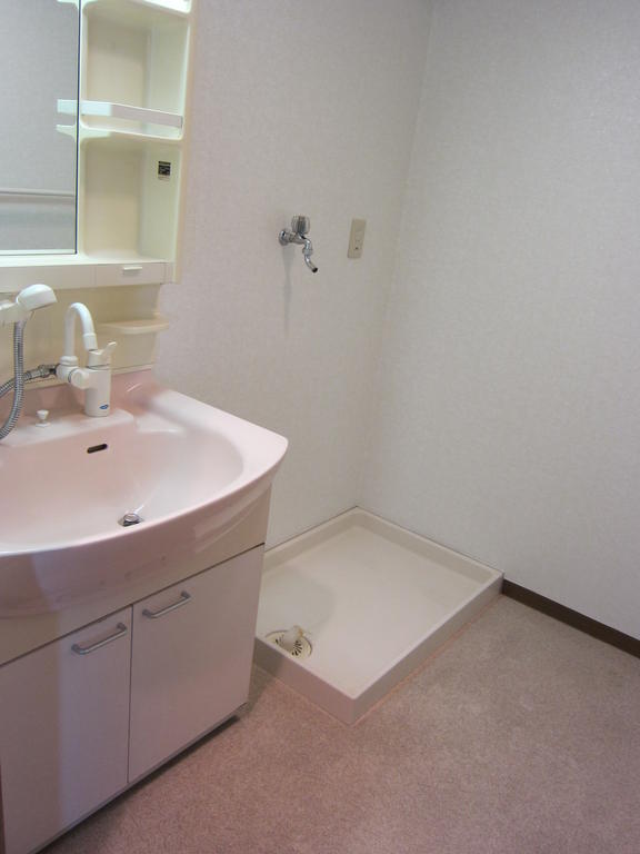 Washroom. Shampoo dresser
