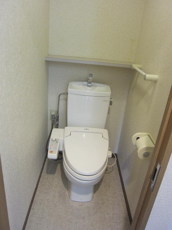 Toilet. Bidet