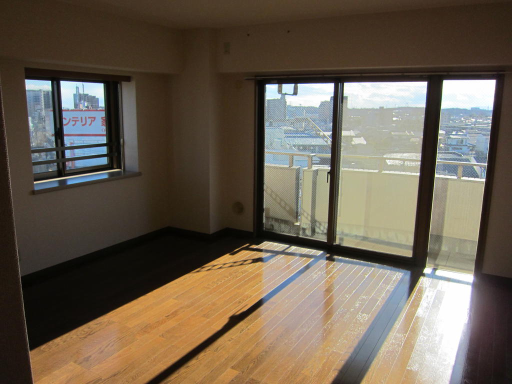 Living and room. Good bright living sunny view