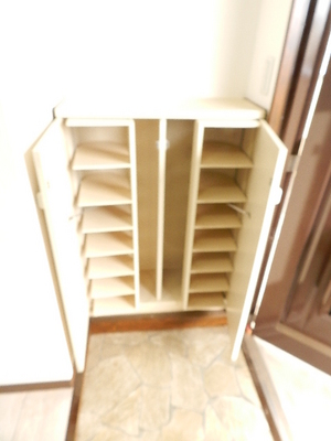 Other. Shoe box