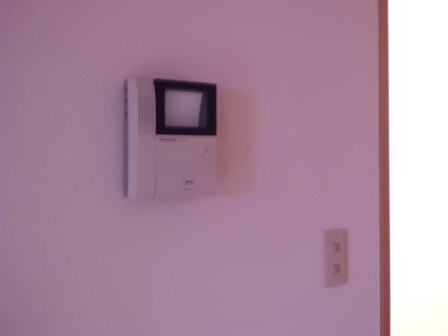 Security. The lives of peace of mind at the TV monitor with intercom