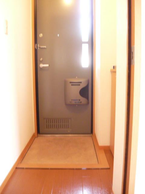 Entrance. Entrance hall. It is a little entrance stepped