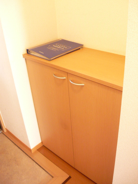Entrance. Entrance with a cupboard.