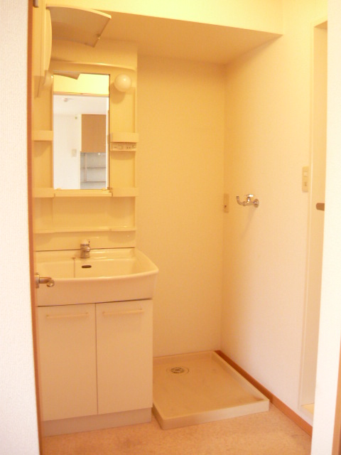 Washroom. Independent wash basin. Right next to the waterproof pan with Washing machine in the room
