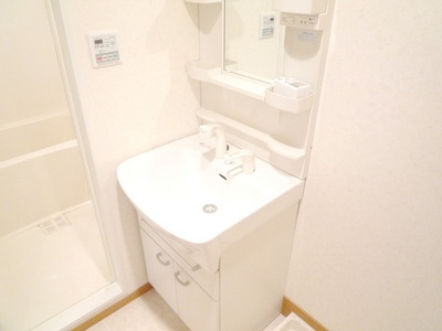 Washroom. Shampoo wash basin