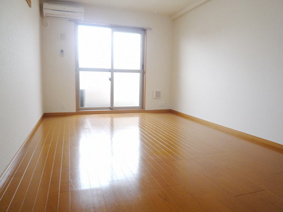 Living and room. Bright Western-style