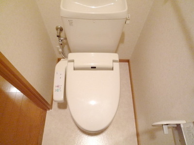 Toilet. Warm water washing toilet seat