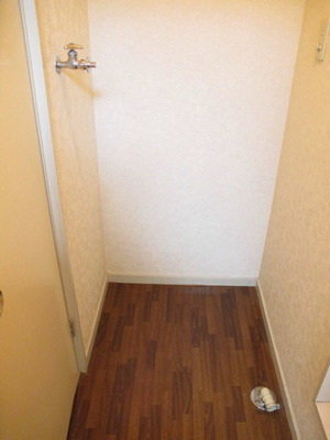Washroom. Laundry Area