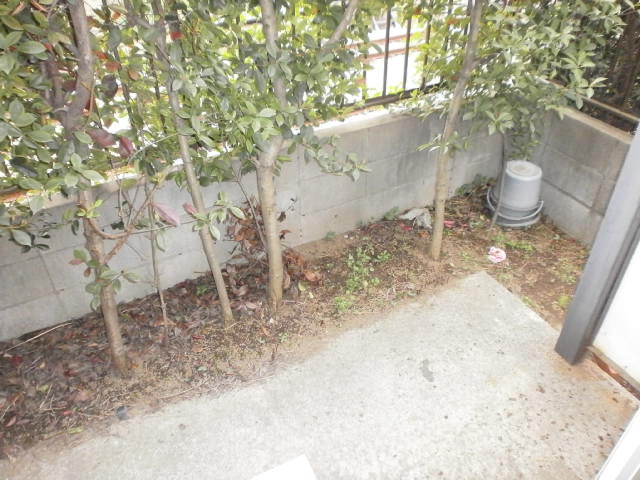 Balcony. Veranda