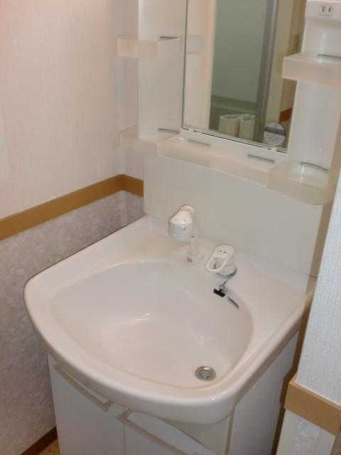 Washroom. Shampoo dresser