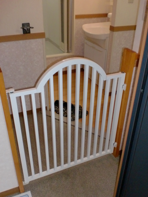 Entrance. Dog fence to prevent the jumping out of the pet