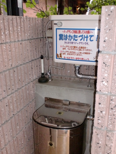 Other common areas. Poop dust
