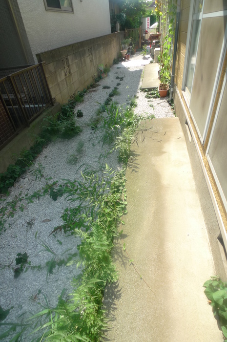 Other. terrace