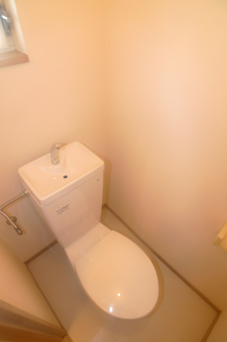 Toilet. Western-style toilet