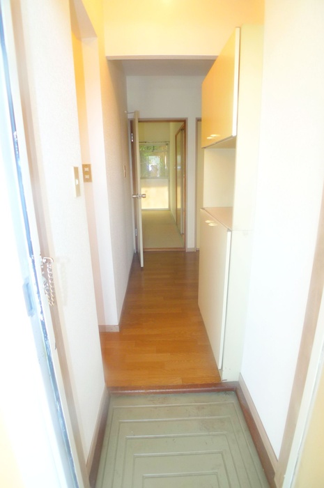 Entrance. Not visible in the immediately entered is not the entrance hall