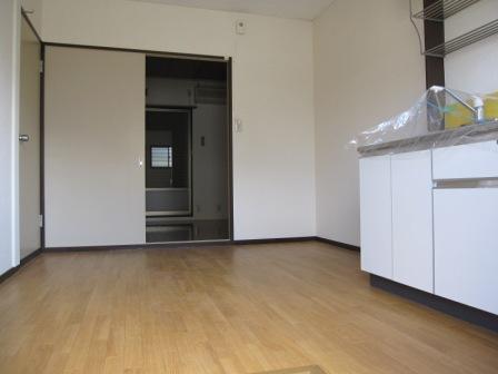Living and room. 6 Pledge DK. Furniture placement is if easy in the Standart form.
