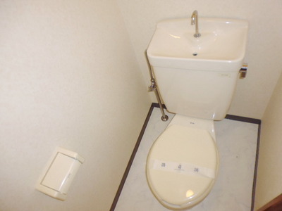 Toilet. Toilet