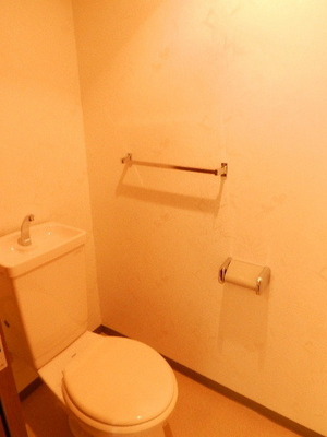 Toilet. Toilet