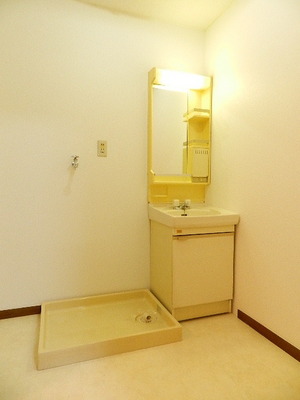 Washroom. Separate vanity Washing machine in the room