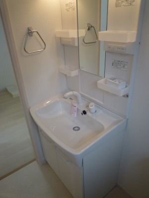Washroom. Popular independent wash basin (with shampoo for the shower)