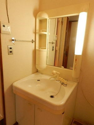 Washroom. Shampoo dresser