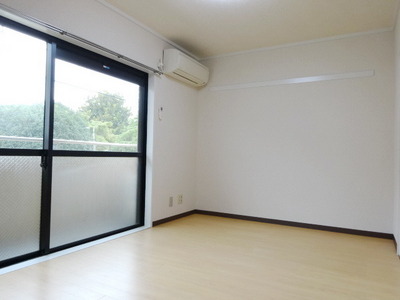 Living and room. A bright room