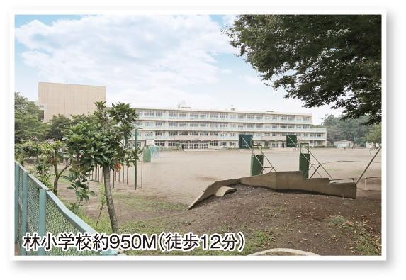 Primary school. 950m Tokorozawa until Lin small is a basic group school. 