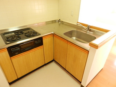 Kitchen. Counter Kitchen System kitchen
