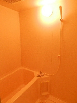 Bath. Remote-control add 焚式 bus