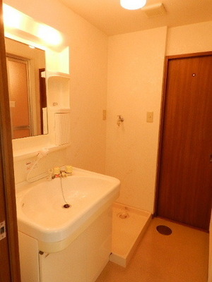 Washroom. Shampoo dresser Laundry Area