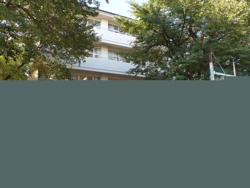 Junior high school. Tokorozawa 1300m until junior high school