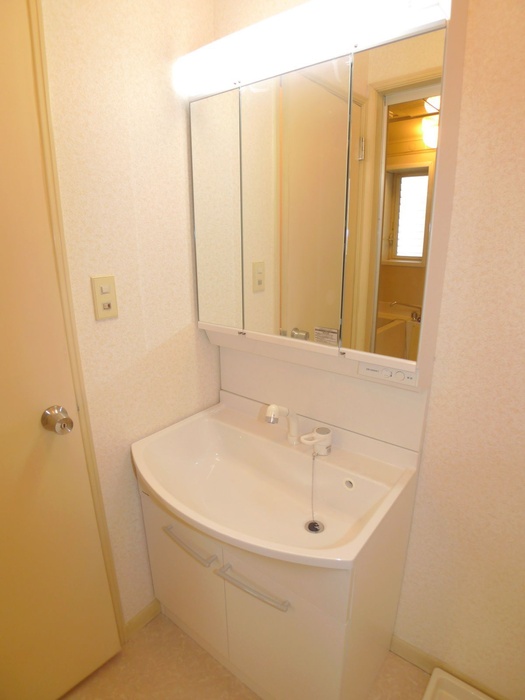 Washroom. Shampoo dresser