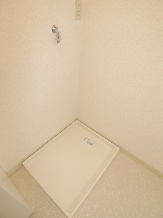 Washroom. Washing machine in the room