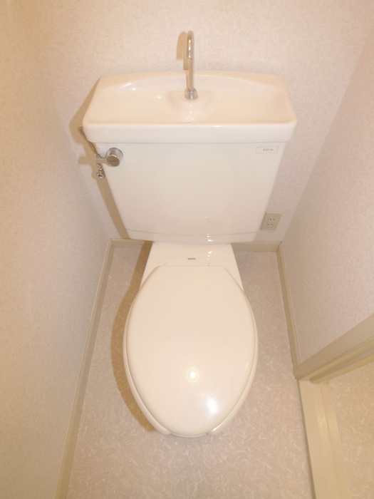 Toilet. Toilet