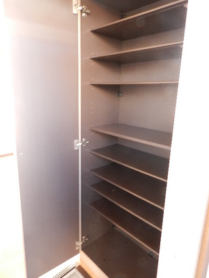 Entrance. Shoe box