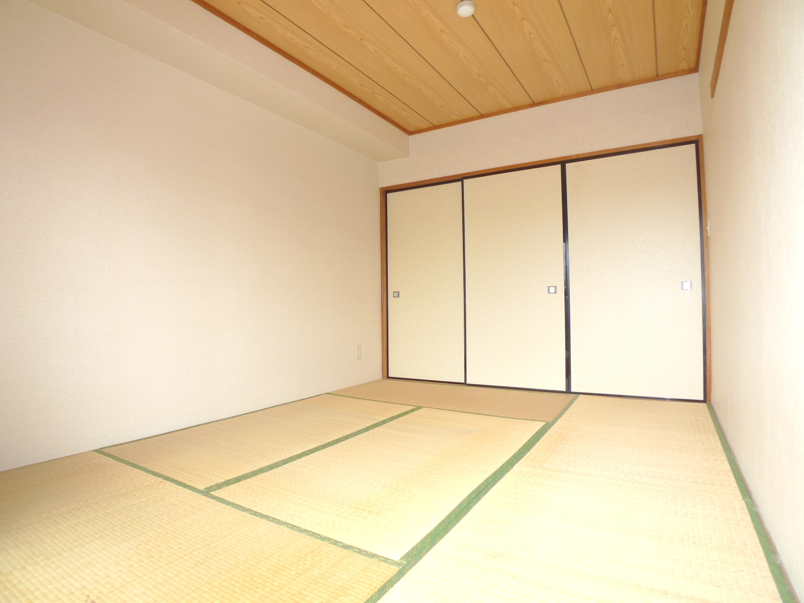 Living and room. A bright room
